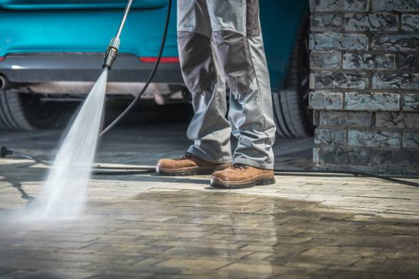Best Roof Cleaning and Mildew Removal in Sanford, CO